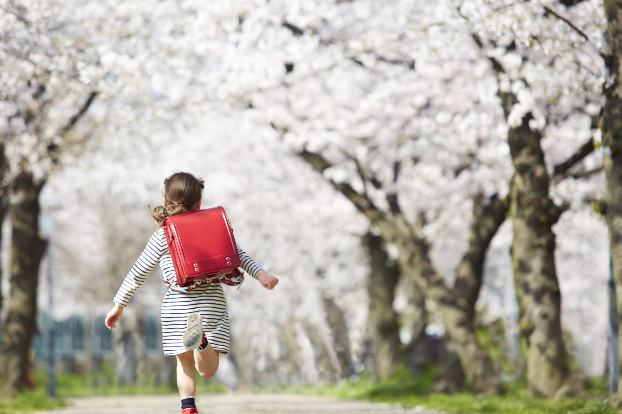 教育費の準備は幼稚園から。無償化や児童手当などの制度をフル活用しよう